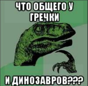 GCdxWhzkrVk.jpg