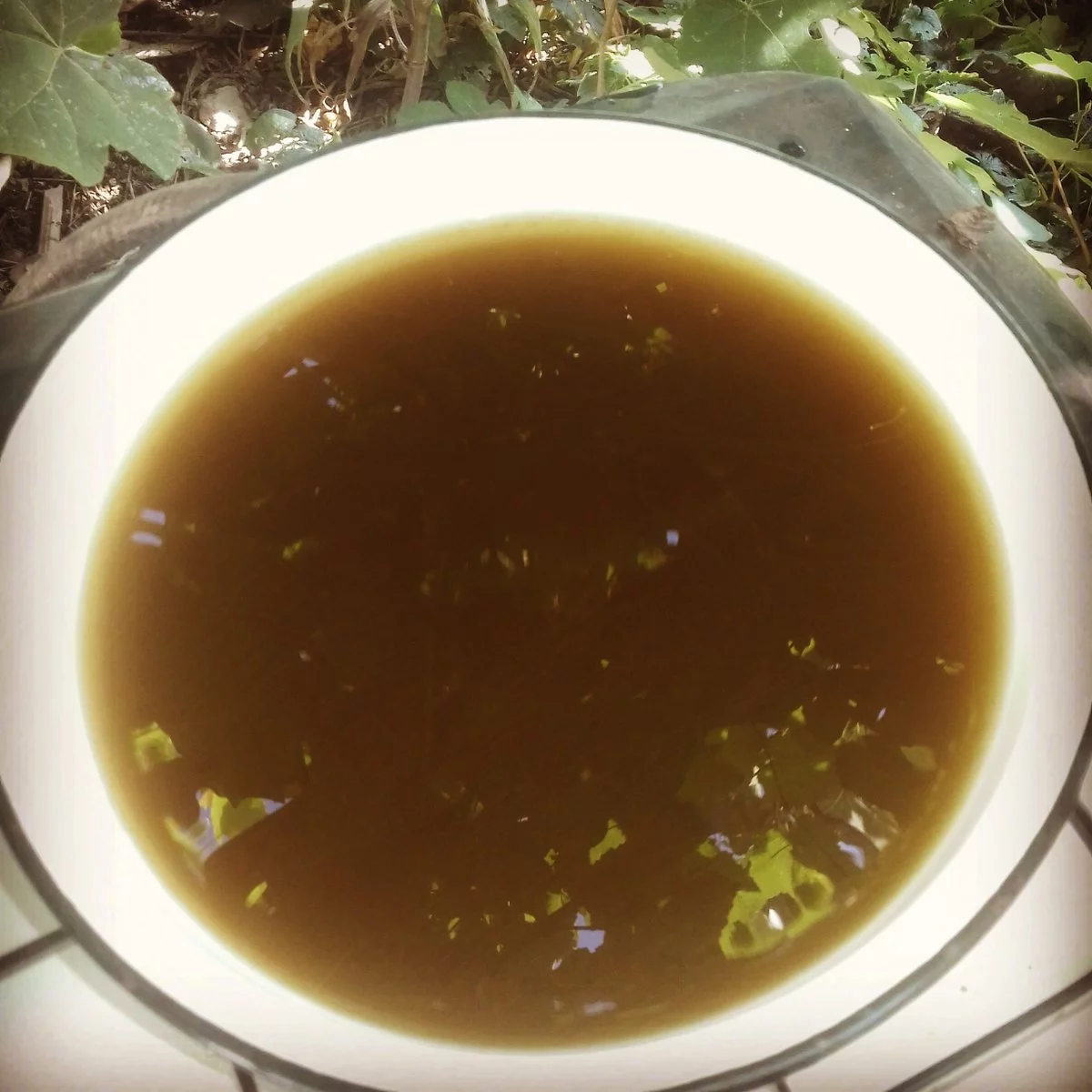 gcfa3j.webp