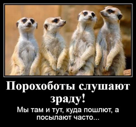 gcge3f.webp