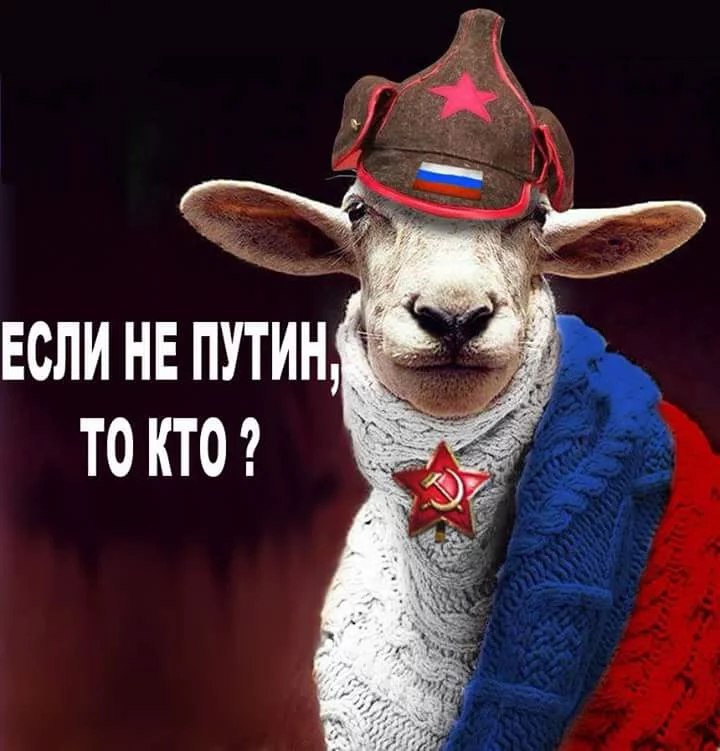 gcgg1j.webp