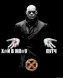 gch2ed.webp