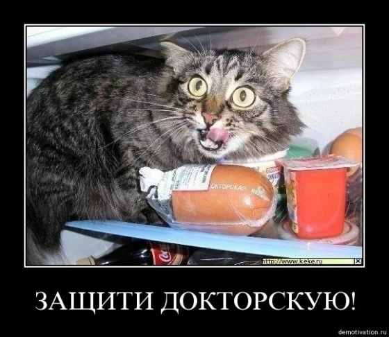 gch2gg.webp