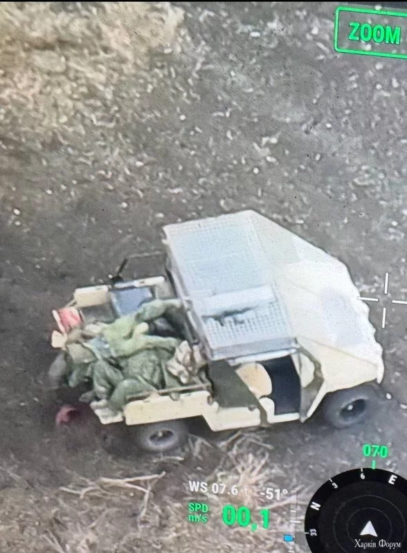 Gchhm-Zm-Wk-AAv-Z73.webp