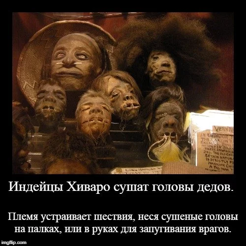 gcj4gj.webp