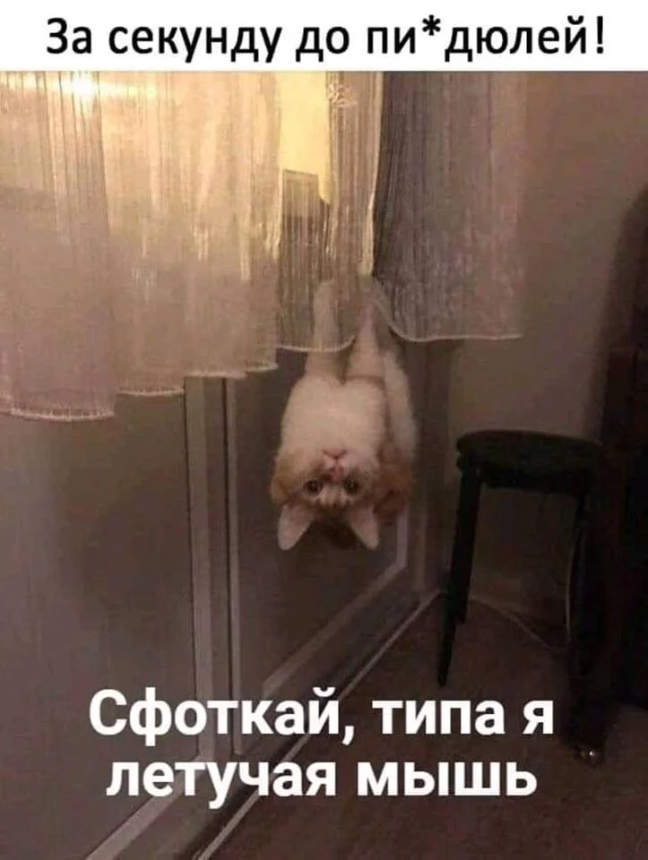 gd1ede.webp