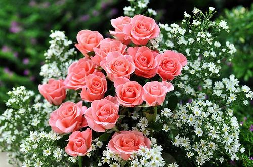 gd5ehf.webp