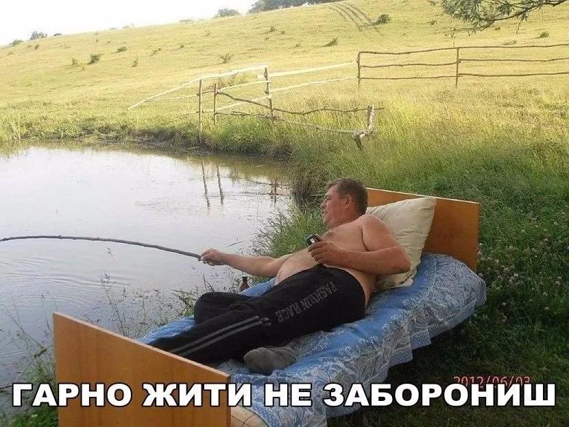 gd8hjg.webp