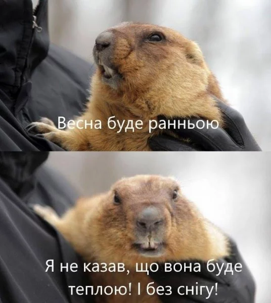 gdacb7.webp