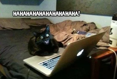 gdb6ch.webp