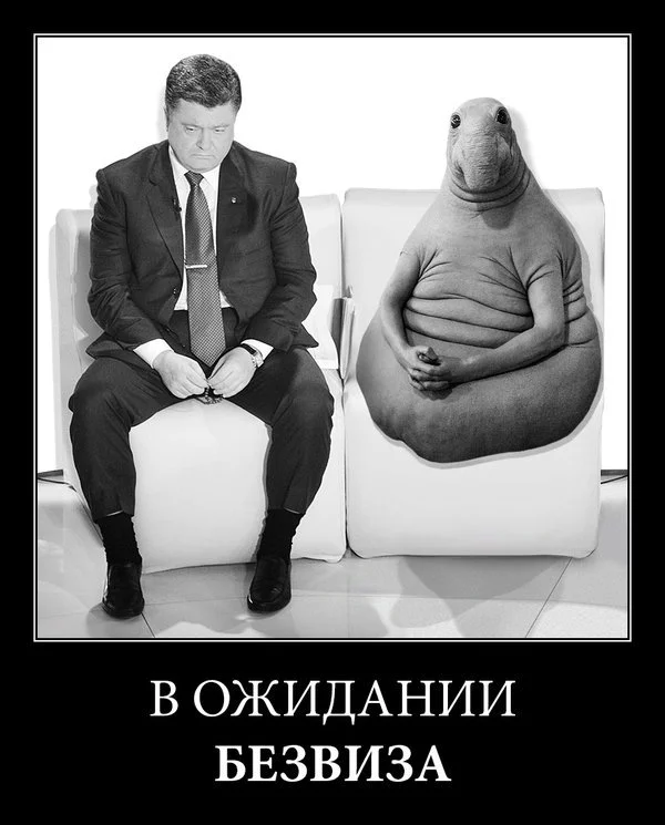 gdb6fg.webp