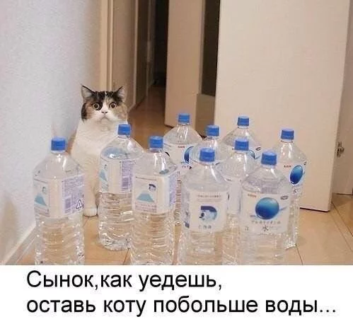 gdbe1h.webp