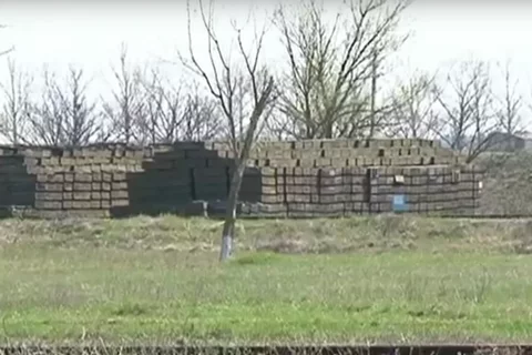 gdbj9e.webp