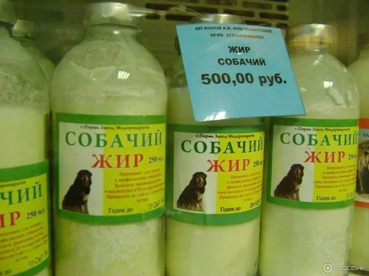 gdcaa2.webp