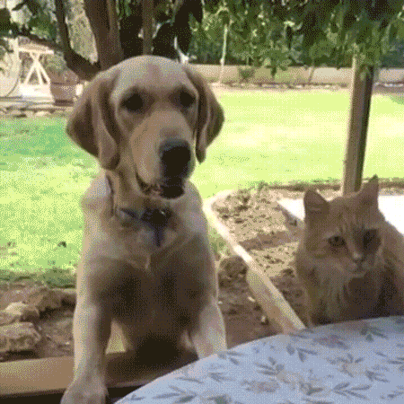 gdd4ad.gif
