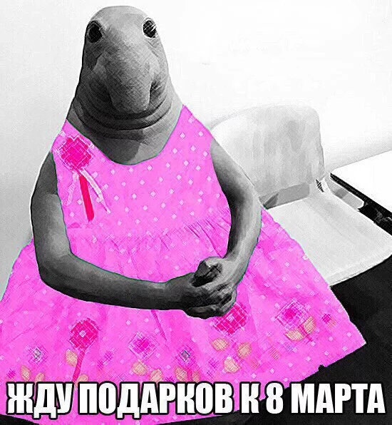 gdeah9.webp