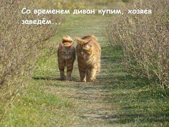 gdejd6.webp