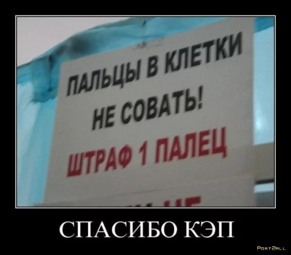 gdfgf7.webp