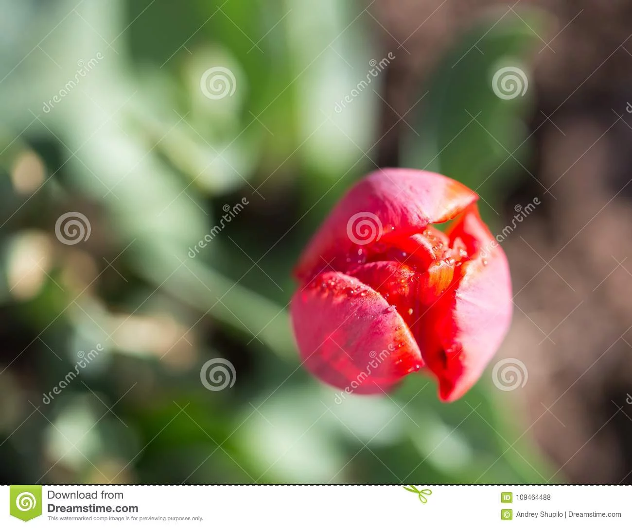 gdgd7g.webp