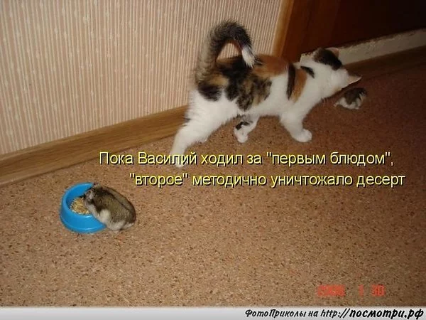 gdh4ab.webp