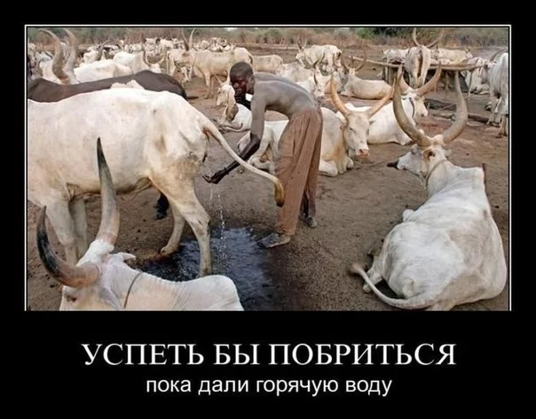 GDibTy1aCHI.webp