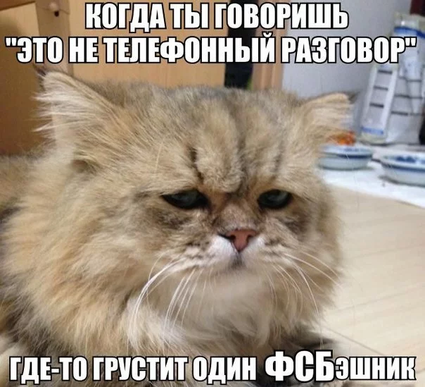 gdj3jj.webp