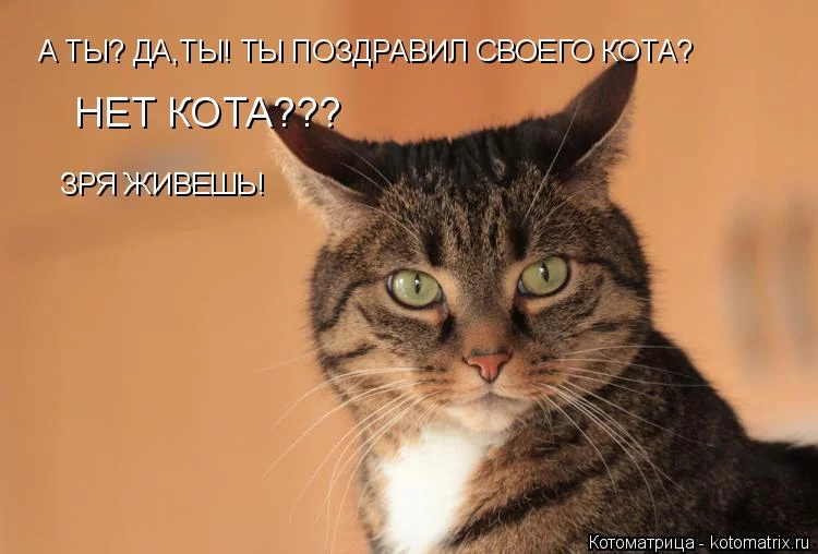gdjc3a.webp