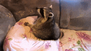 ge8aee.gif