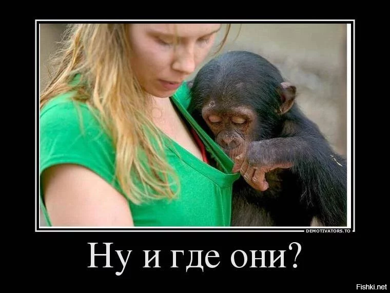 geace5.webp