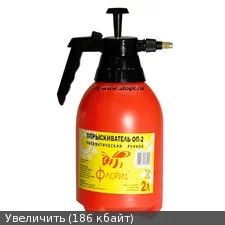 geae2g.webp