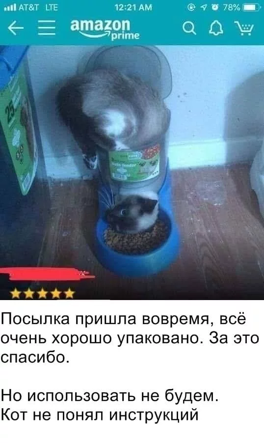 gebgf4.webp