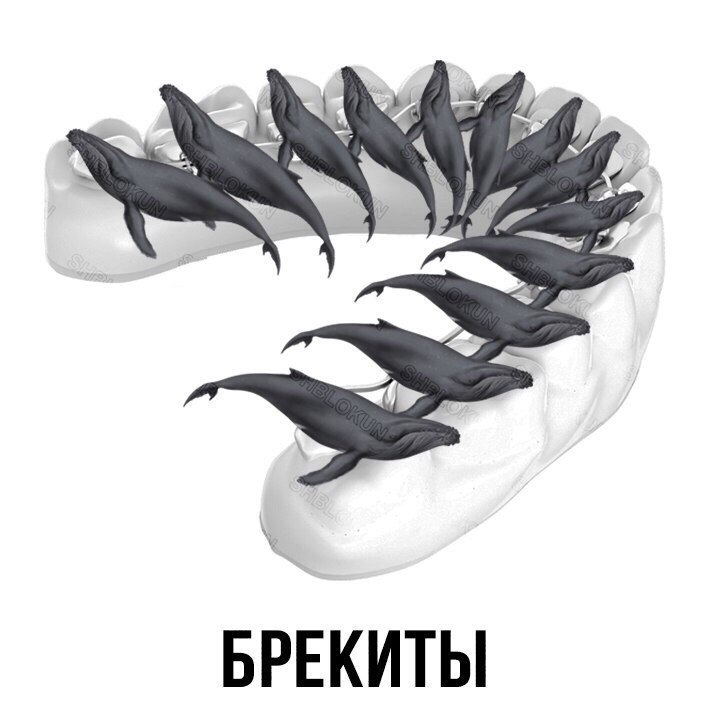 gebjf2.jpg