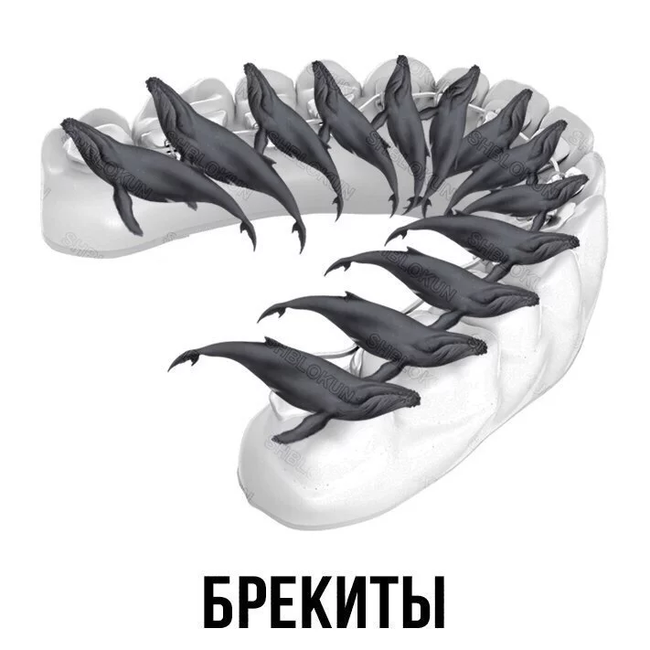 gebjf2.webp