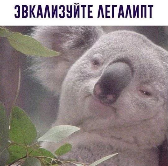 ged3dh.webp