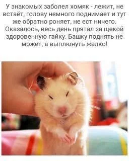 ged4hd.webp