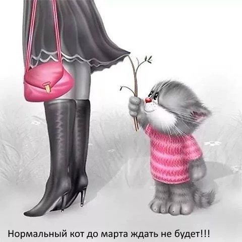 gedad1.webp