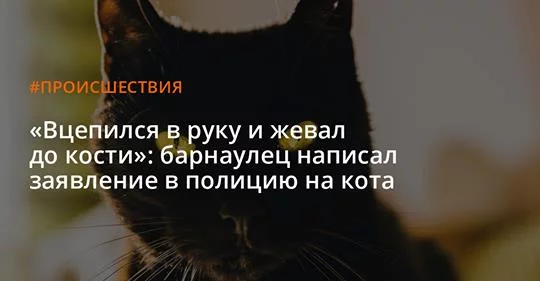 geec8c.webp