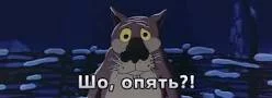 gef4ee.webp