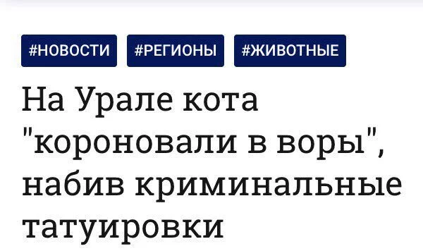 gef9gh.webp