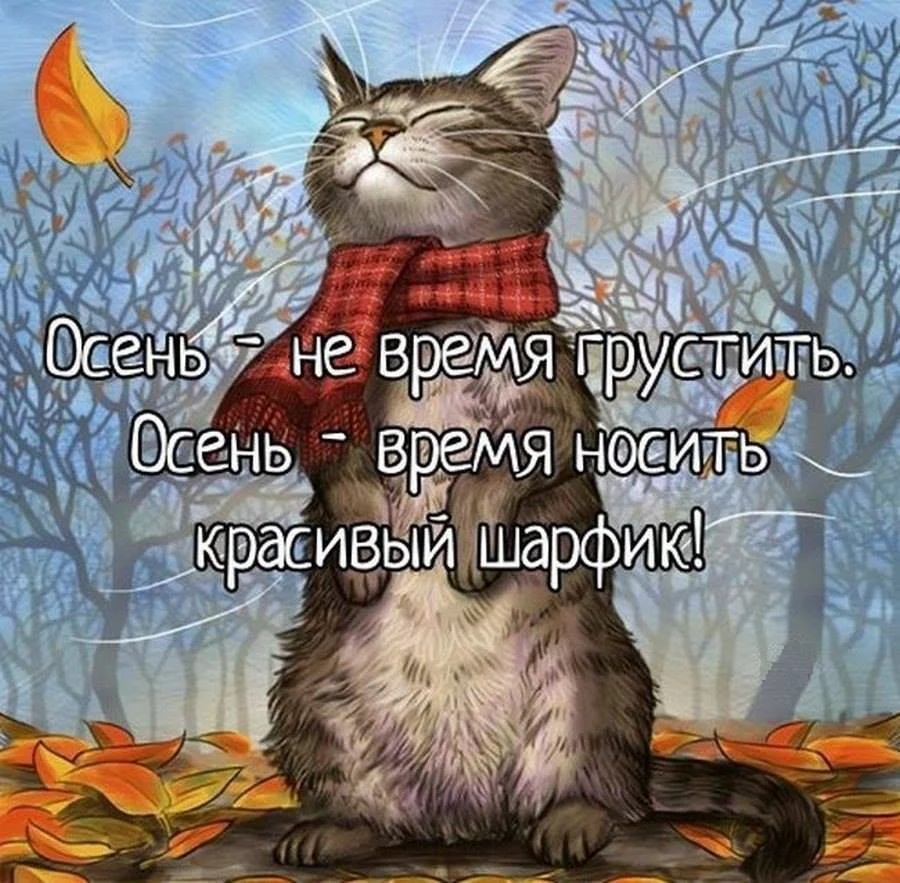 geh0be.webp