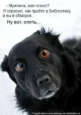 getImage+%252826%2529.webp