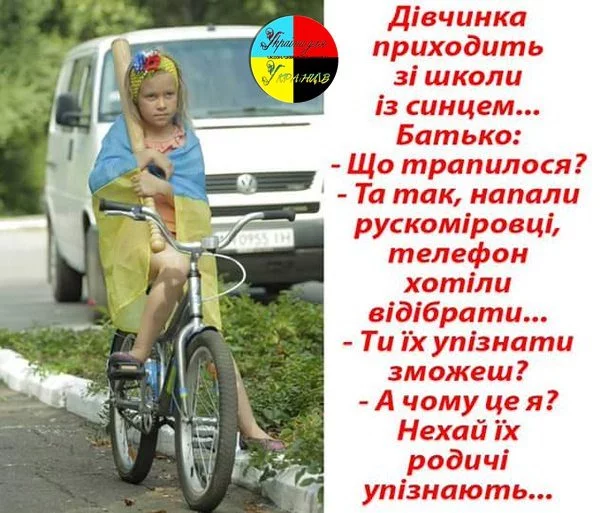 gf1djd.webp