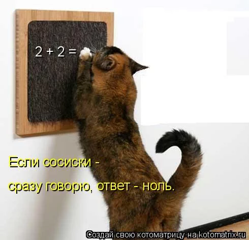 gf7bdd.webp