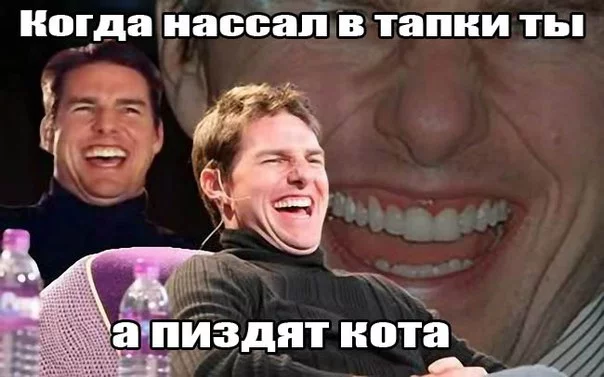 Gf7gMGJMr30.webp