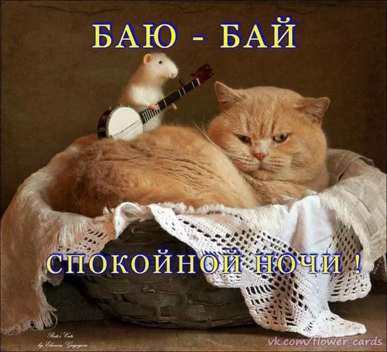 gfa0fj.webp