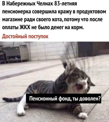 gfb5dh.webp