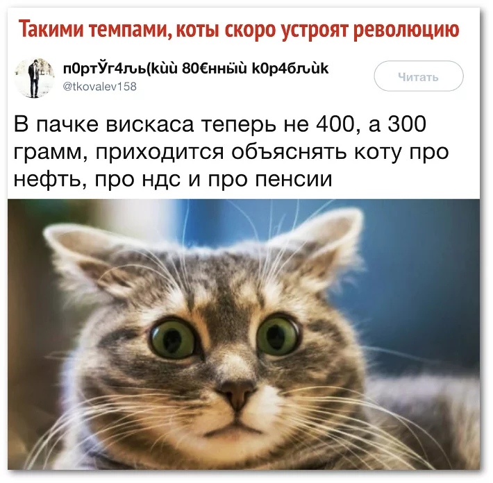 gfb6ed.webp
