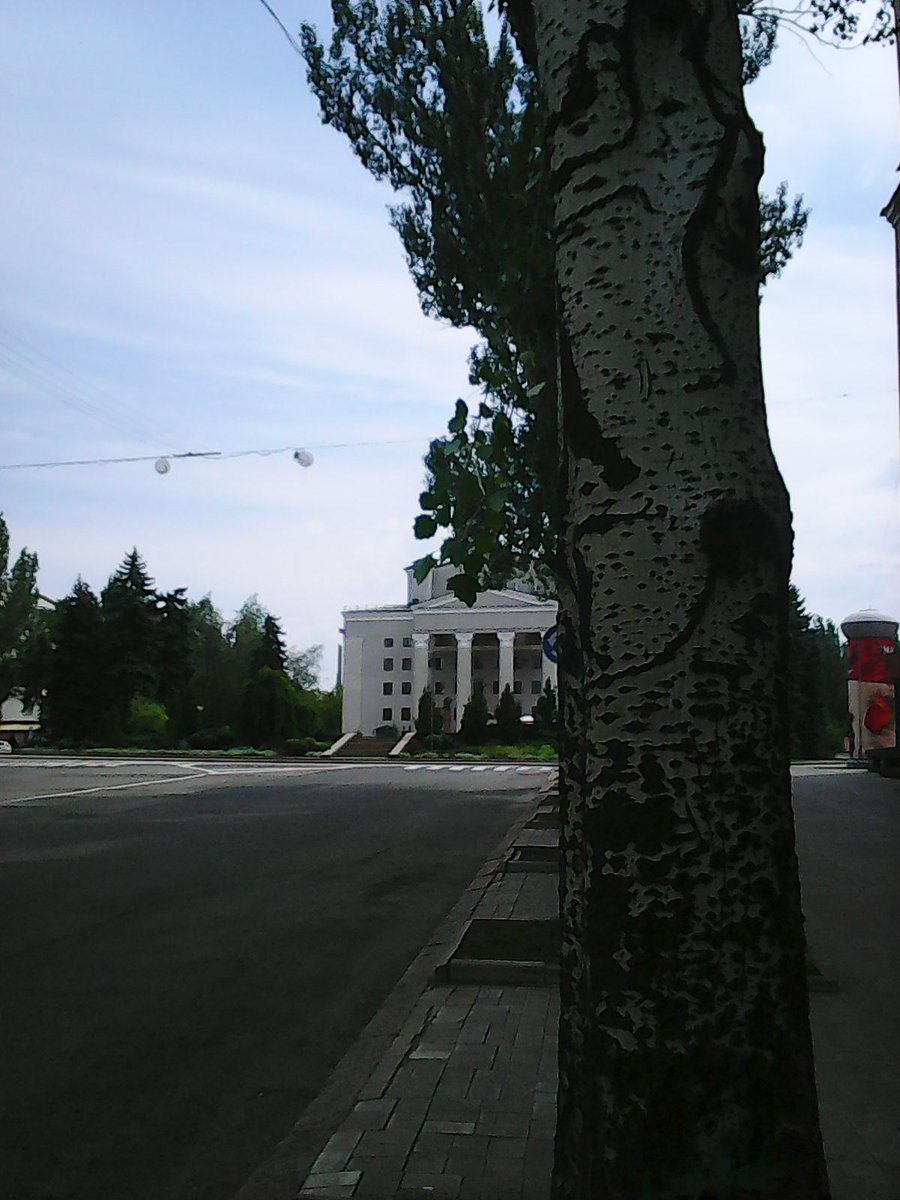 gfbf6c.jpg