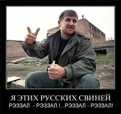 gfbfc1.webp
