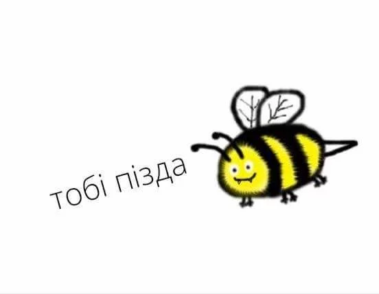 gfcg3b.webp