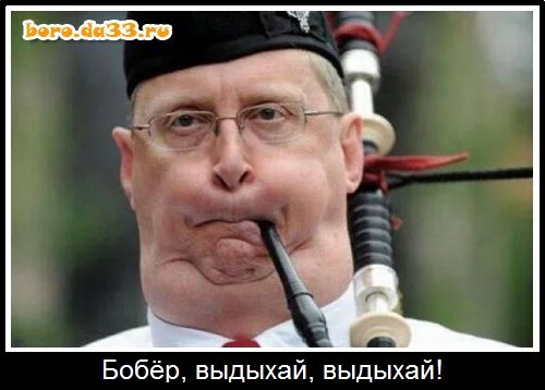 gfche4.webp